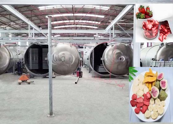 Advanced Industrial Freeze Dryer With PLC And Remote Control System