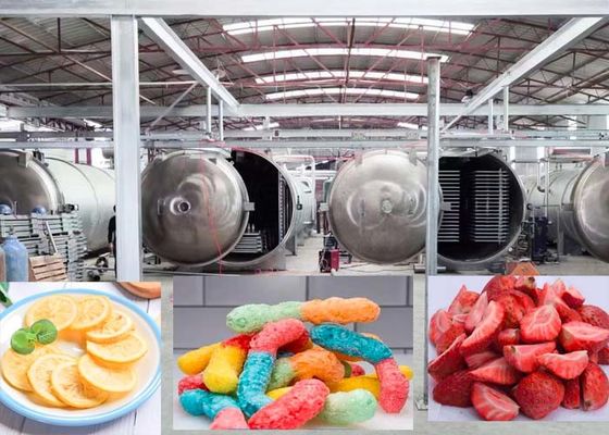 Pharmaceutical 1000Kg Vacuum Freeze Dryer Machine Advanced Drying Technology