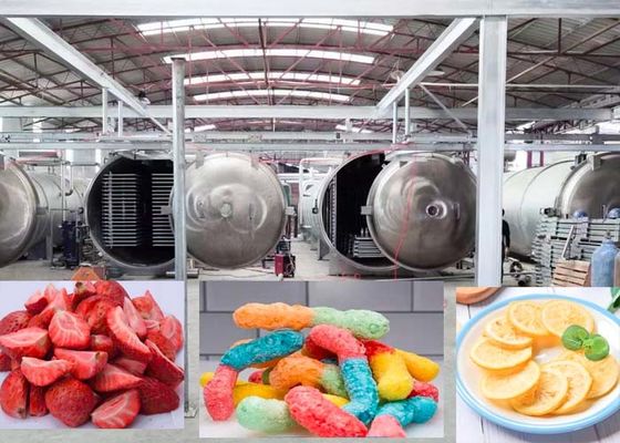 Industrial Powerful Freeze Dryer Machine With Automatic Operation Mode