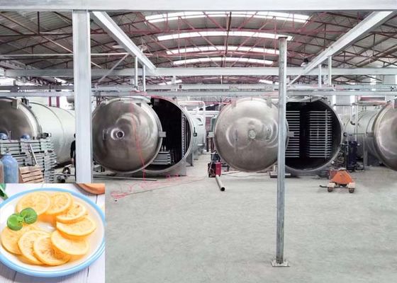 Large Industrial Freeze Dryer 1000kg/batch Capacity