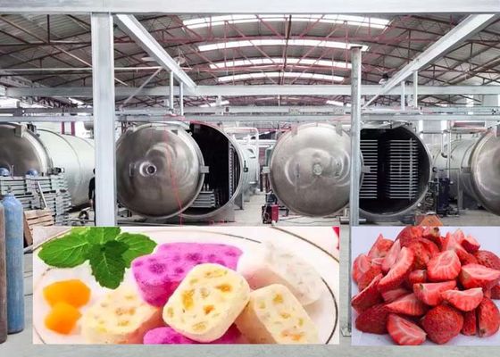 1000Kg Large Freeze Dryer for Fast 20-24H Precise Drying Results