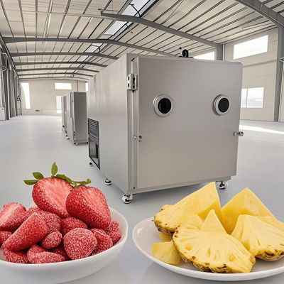 Industrial Food Vacuum Freeze Dryer Lyophilizer drying equipment