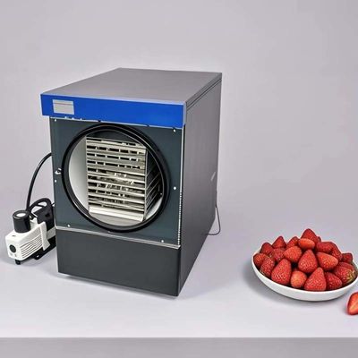 ‌Freeze Dryer Machine For Fruits Veggies Meat Milk Lyophilized Home Use