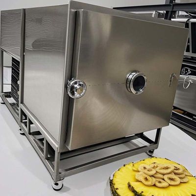 Industrial Lyophilizer Max Vegetable Fruit Vacuum Freeze Dryer High Capacity