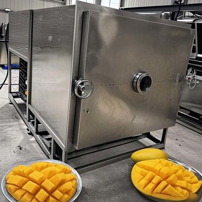 FreezeDryTech Pro Mango Food Storage Lyophilizer‌ For Vegetable And Fruit