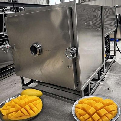 Fruit Vegetable Freeze Drying Machine Commercial Lyophilizer 100KG Capacity
