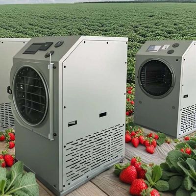 ‌Freeze Dryer Lyophilizer Machine 6KG 10KG 20KG Home Food Preservation