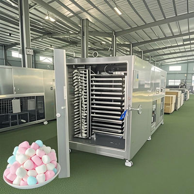 ‌Industrial Vacuum Freeze Dryer 300KG Large Batch Processing Equipment For Herbs