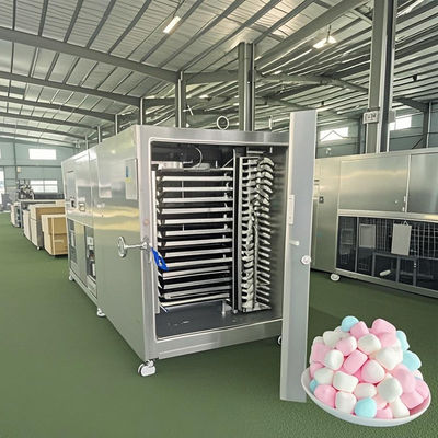 ‌Commercial Scale Lyophilizer 50KG Industrial Freeze Drying System For Dairy Candy Products