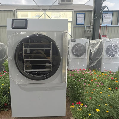 Advanced Compact Technology 20kg Small Home Freeze Dryer Freshness ‌Energy Efficient Mini Daily Use