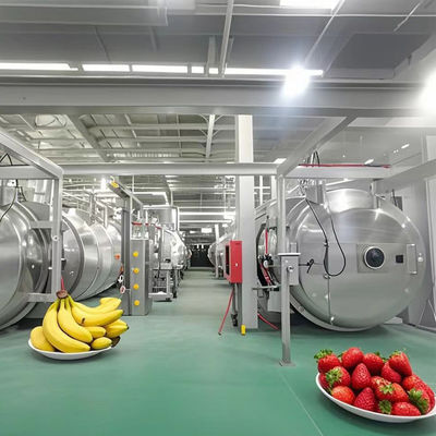 Heavy Duty Lyophilizer 500kg Industrial Freeze Dryer For Fruit / Vegetable / Coffee / Seafood
