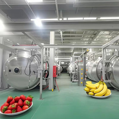 Commercial Industrial Freeze Drying Equipment 1000kg Capacity For Laboratory / Factory Use