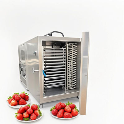 100kg GMP Freeze Dryer Machine Pharmaceutical Food Grade Lyophilization