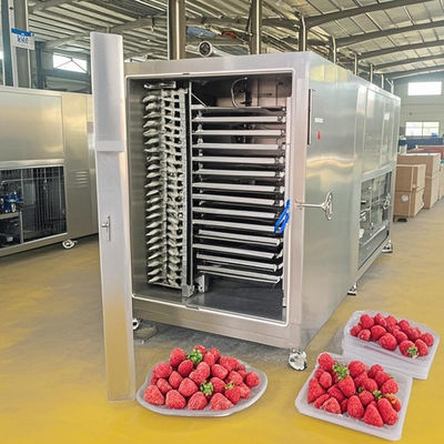 ‌200kg Batch Freeze Dryer Automatic Control For Meat / Fruit Dehydration