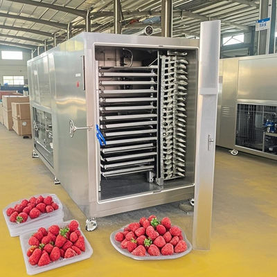 50kg Stainless Steel Industrial Freeze Dryer Machine CE Certified For Lab Factory Use