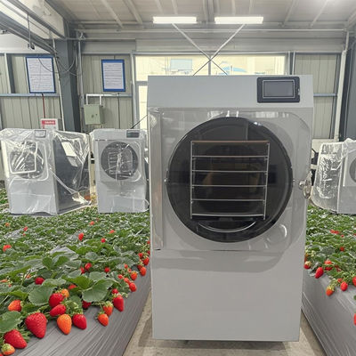 6kg Pilot Freeze Dryer R&D To Small Batch Production With Touchscreen PLC