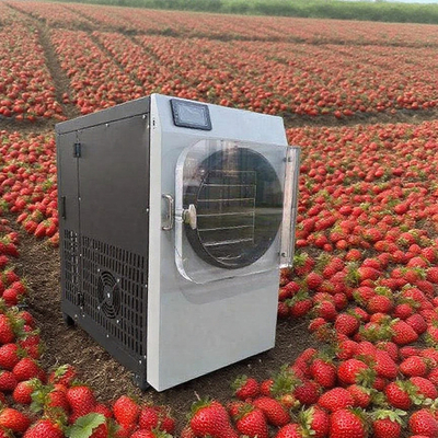 Commercial Lyophilizer with 304 Stainless Steel & Bosch Pump - High-Efficiency Freeze Dryer