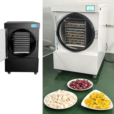 220V/50-60HZ Small Freeze Dryer Made of SUS304 Stainless Steel for Drying