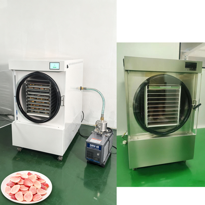 Freeze Drying Household Freeze Dryer with Two-stage Baosi Vacuum Pump and SUS304 Stainless Steel Shell