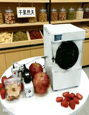 Home Freeze Dryer for Vegetables & Snacks  Fast Drying, User-Friendly & Compact Build