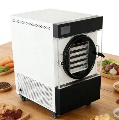 Stainless Steel Home Lyophilizer  Commercial-Grade Durability for Your Home Food Drying Needs