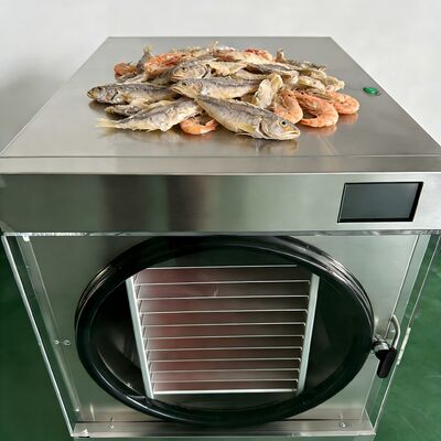 SUS304 Stainless Steel Home Freeze Dryer With Two Stage Baosi Vacuum Pump Dimensions 1100 1000 1180mm Equipment for Home