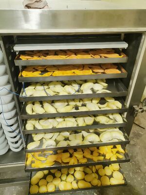  Refrigeration Unit Freeze Dryer Rated Power 200KW Freeze Drying Equipment for  Food and Chemical Industry