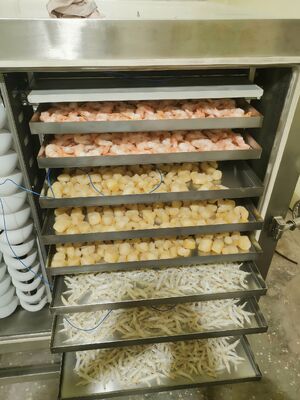 Automatic industrial freeze dryer featuring 1000kg batch capacity ideal for  food and chemical product preservation