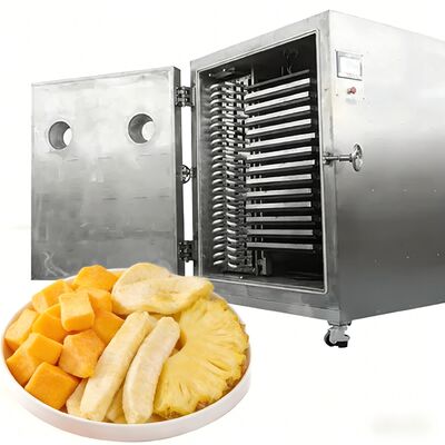 100Kg 200Kg Large Capacity Lyophilizer Commercial Freeze Dryer Machine