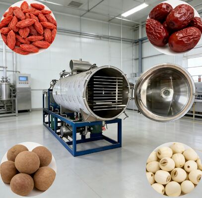 PLC Control System Vacuum freeze-drying machine offering Chamber Size 12700 2600 3300mm perfect for  food and chemical industries
