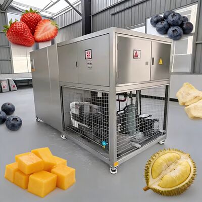  Or Leybold Refrigeration System Food Vacuum Freeze Dryer Air Cooled Equipment for Food Freeze Drying and Storage