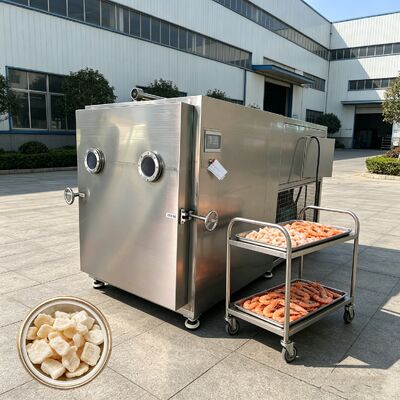 Tray Size 1280 600 30mm Vegetable Freeze Dryer with Freeze Drying Time 18 to 22 Hours Batch Overall Size 3800 1700 2000 Mm