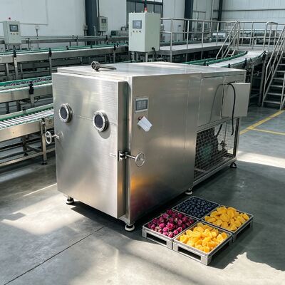 Two stage Rotary Vane Vacuum Pump Vegetable Freeze Dryer EXW Automatic Operation Mode Designed for Dehydration and Extended Shelf Life